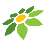 CARI NANASTOTO